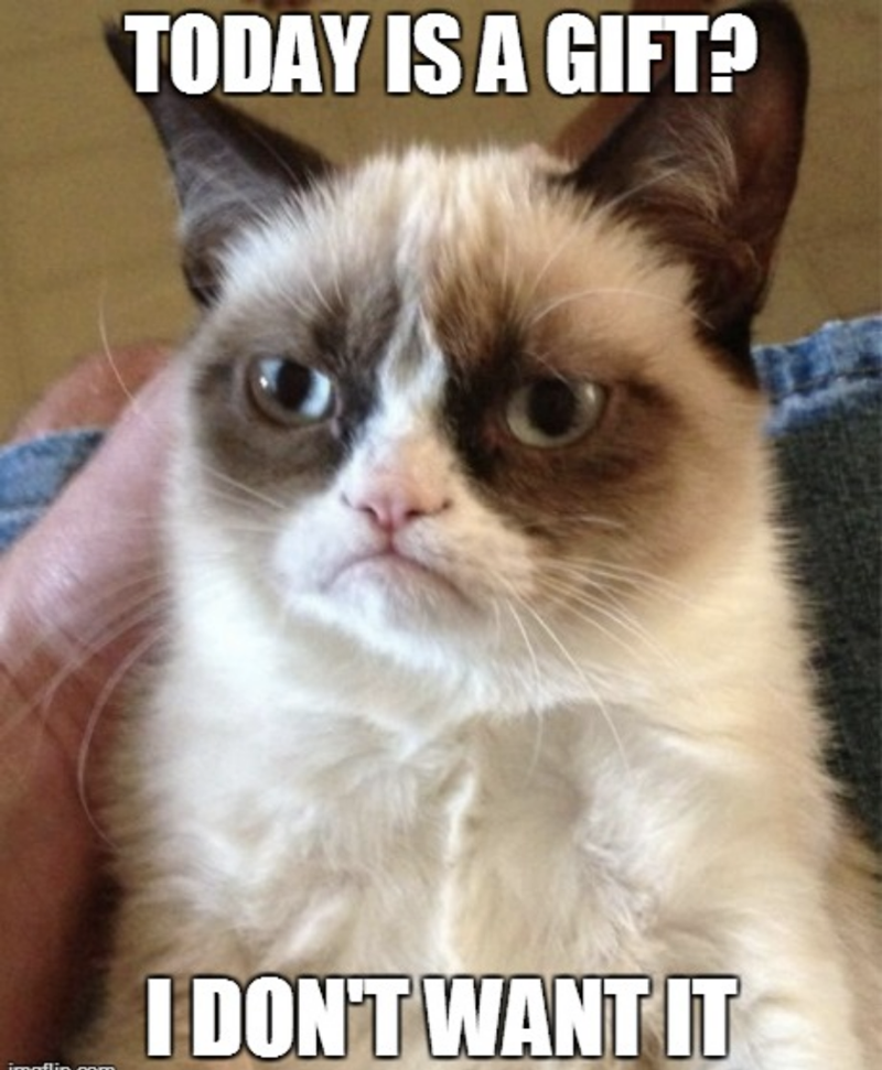 grumpy cat good meme