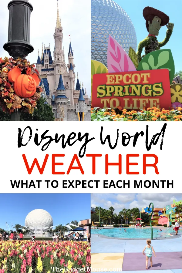 weather walt disney world florida