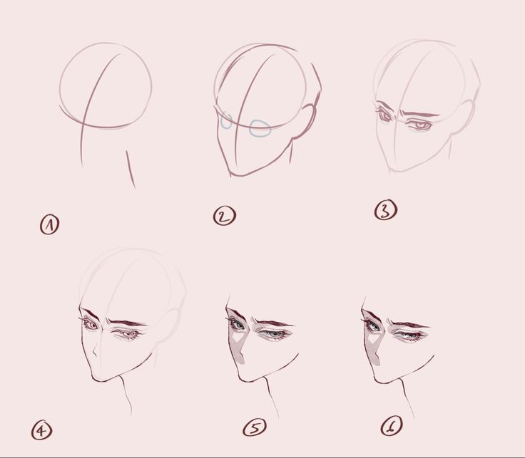 face draw reference