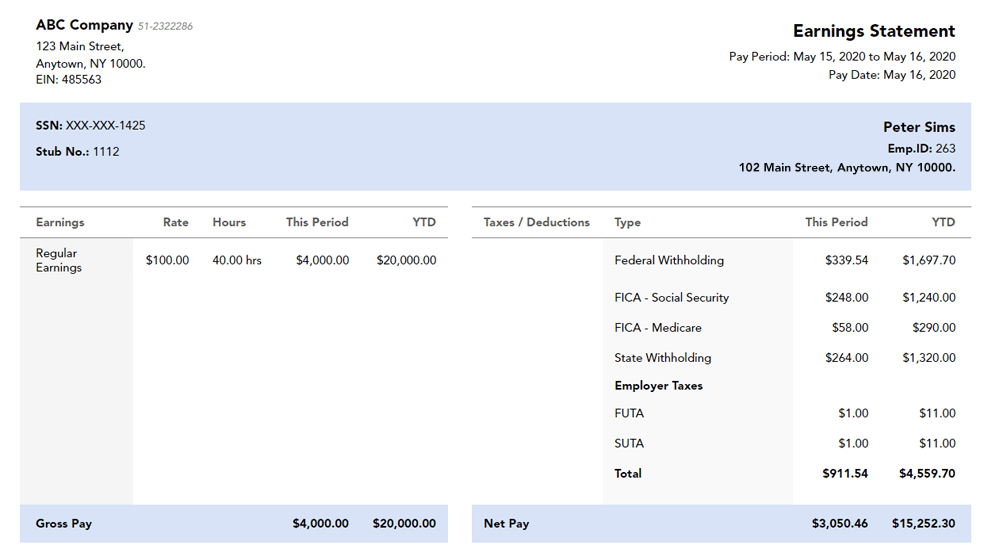 fake pay stub template