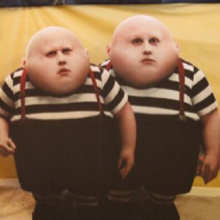 fat twins in alice in wonderland