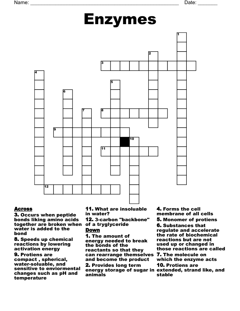 enzyme crossword clue