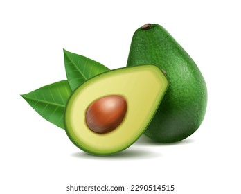 avocado vector free