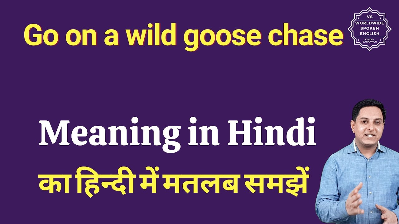 wild goose chase meaning in hindi