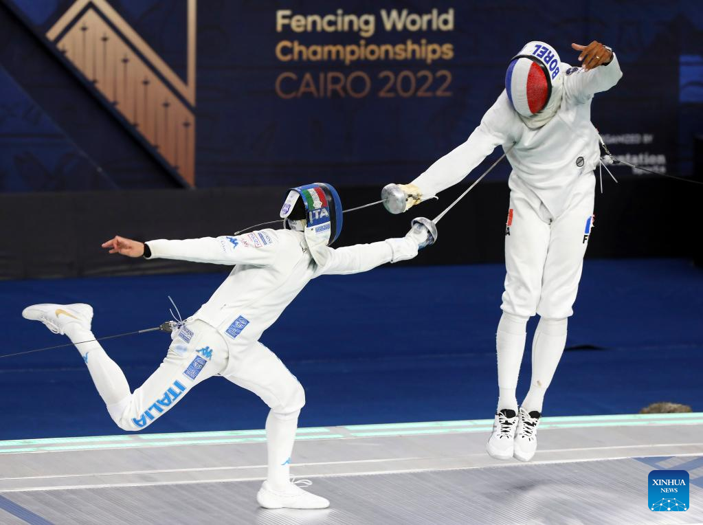 fencing worldwide