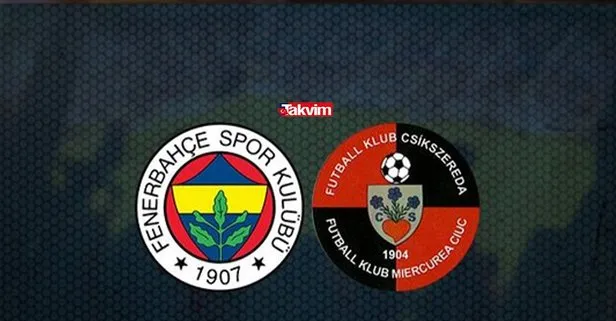 fenerbahçe - csikszereda