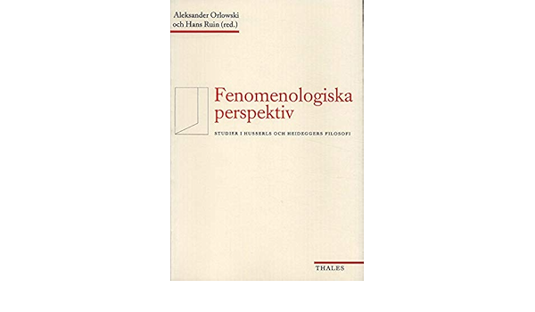 fenomenologisk perspektiv