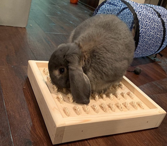 rabbit digging box