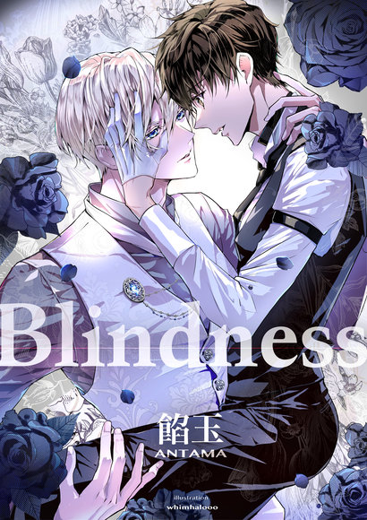 novel updates bl