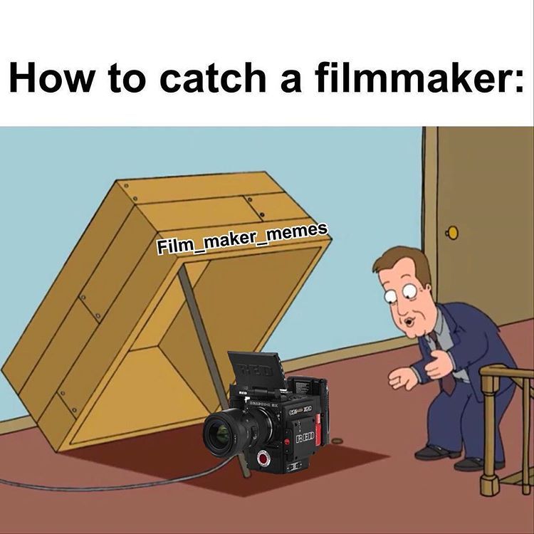 filmmaker memes