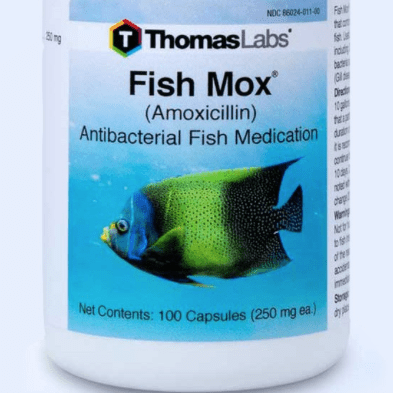 fish mox tractor supply