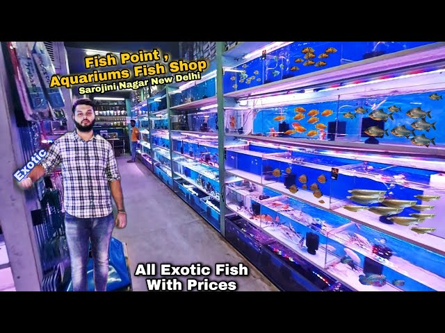 fish point best aquarium shop