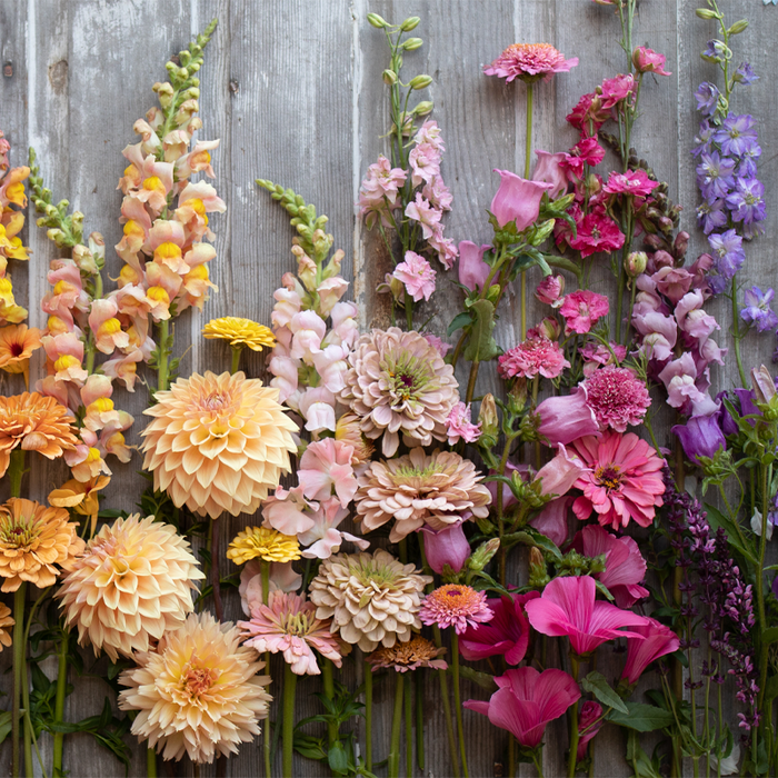 floret flowers