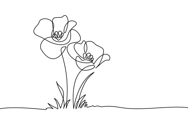 flower line drawing