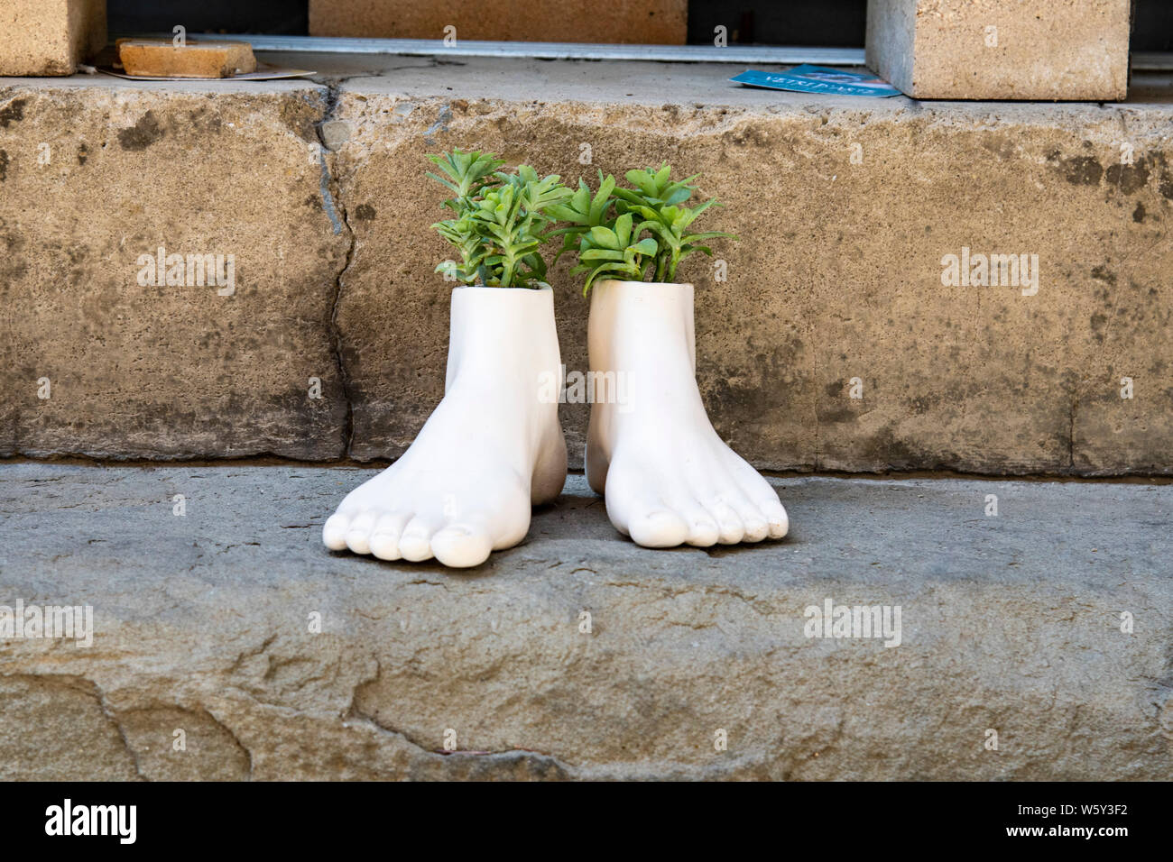 flower pots with feet