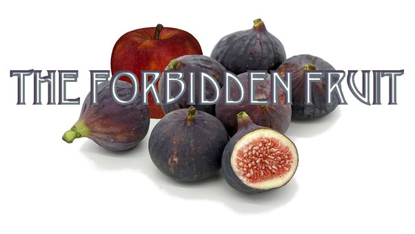 forbidden fruit meaning in hindi
