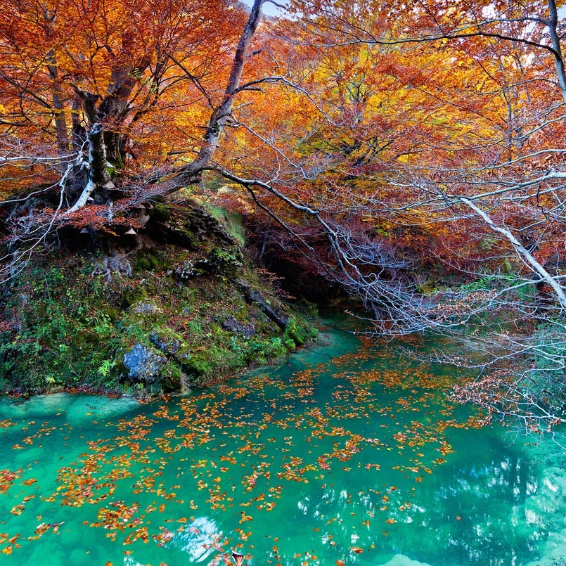 fotografias de paisajes de otoño