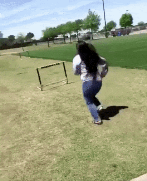 funny funny gifs