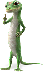 geico car insurance