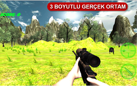 gerçek domuz avı oyunu