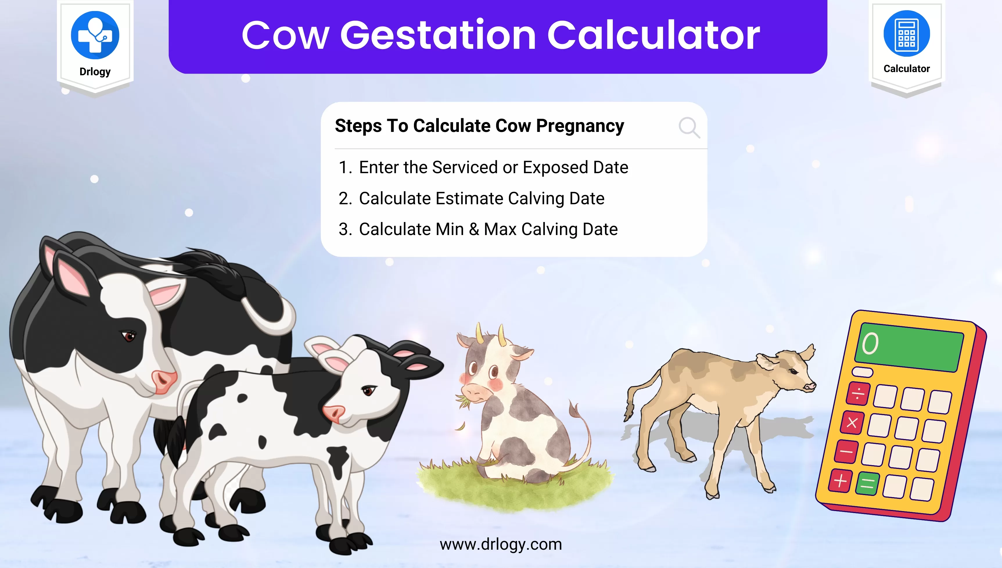 gestation cow calculator