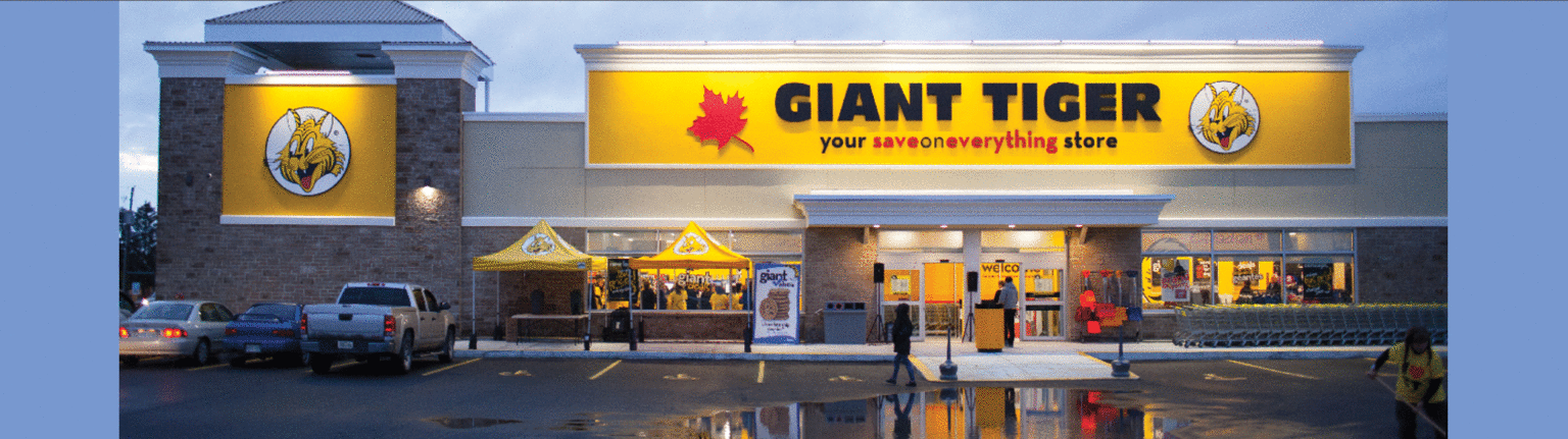 giant tiger brantford