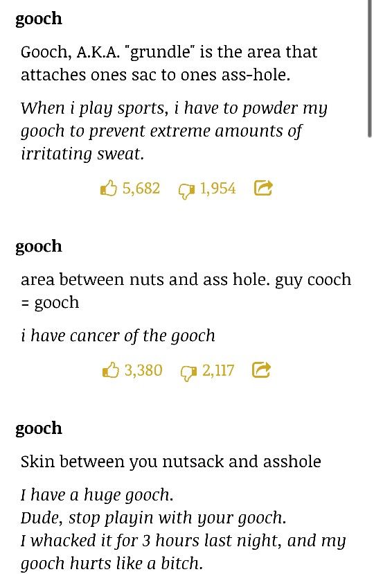 gooch meaning slang