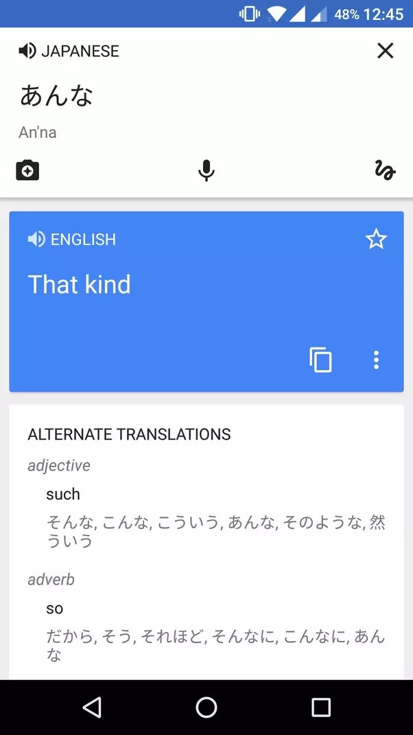 google translate name in japanese