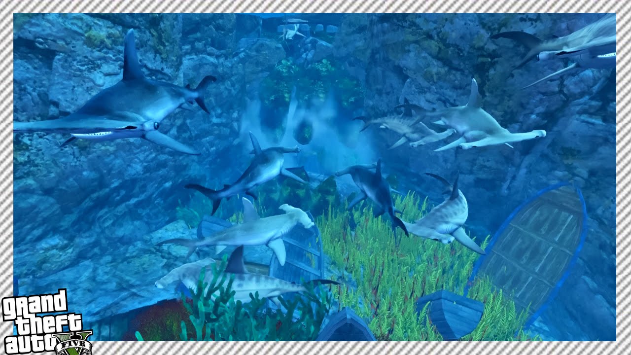 gta aquarium