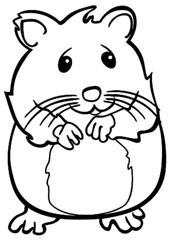 hamster pictures to color