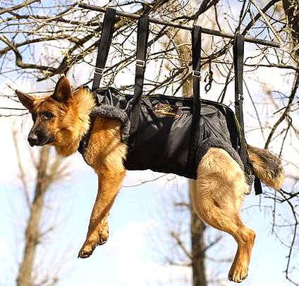 harness for german shepherd