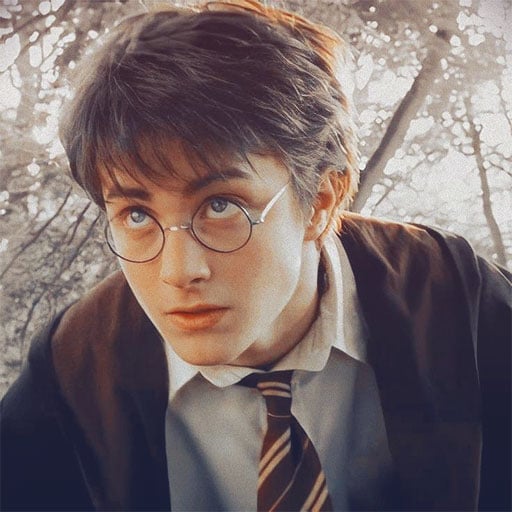 harry potter pfp