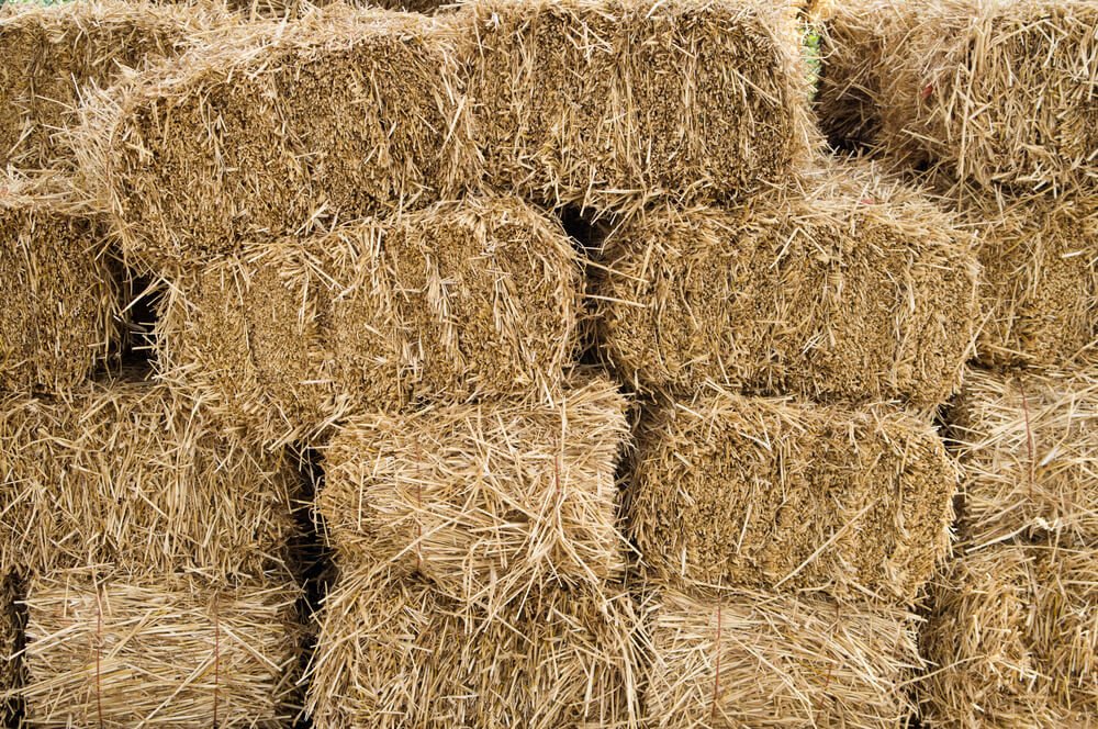 hay bales for sale near me