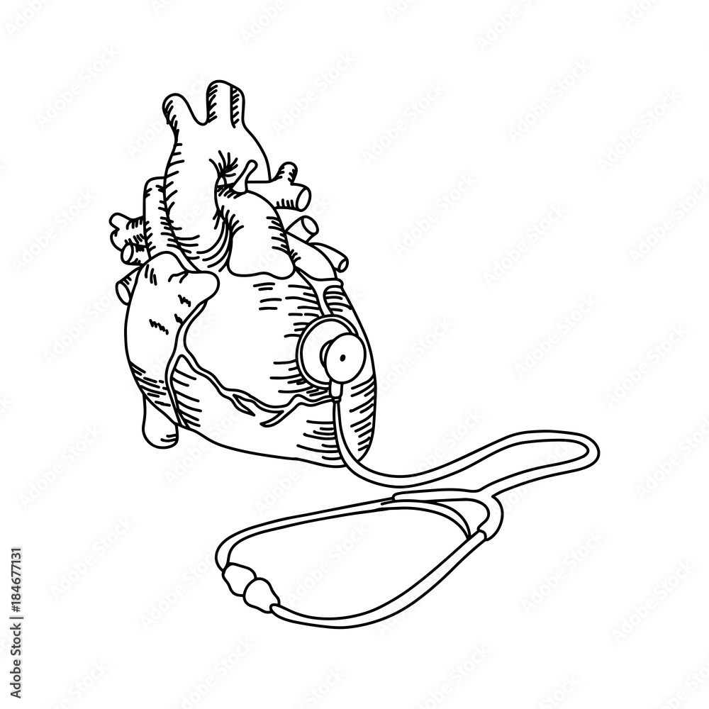 heart with stethoscope drawing