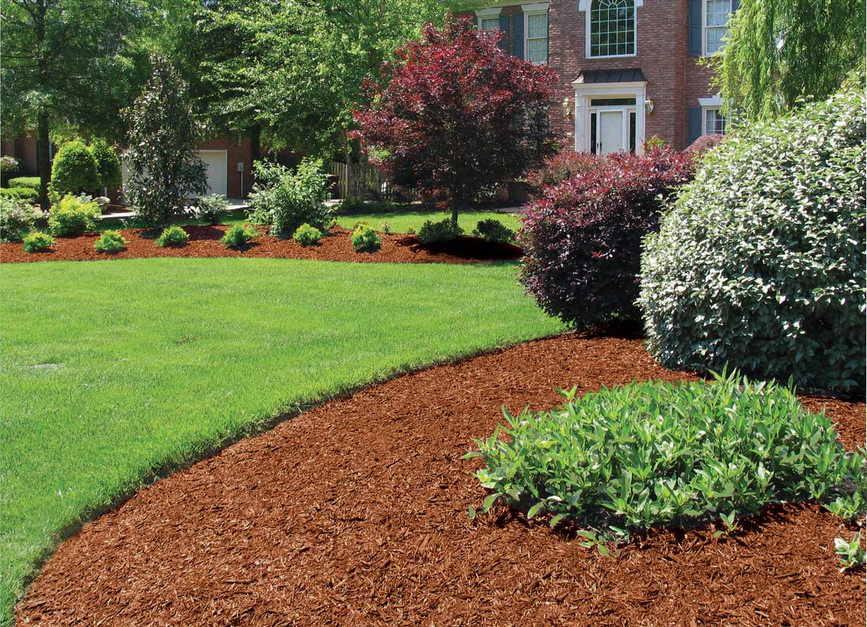 hemlock mulch near me