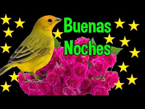 hola buenas noches hasta mañana