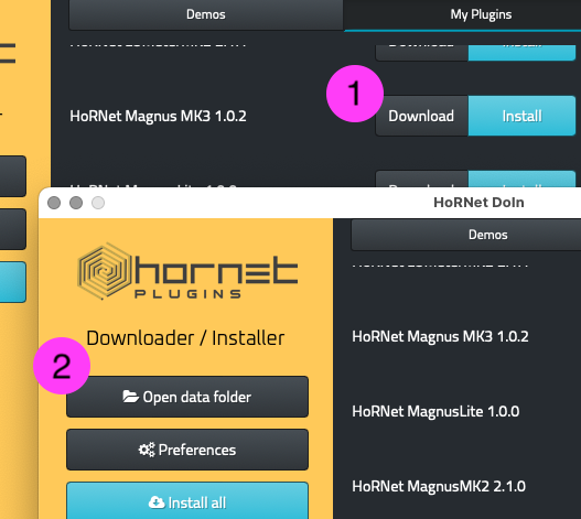 hornet indir windows