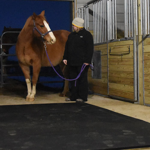 horse stall mats 12x12