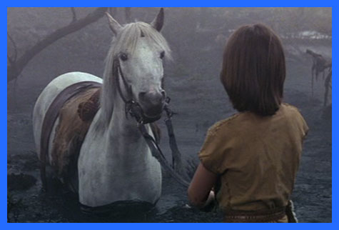 horses name in the neverending story