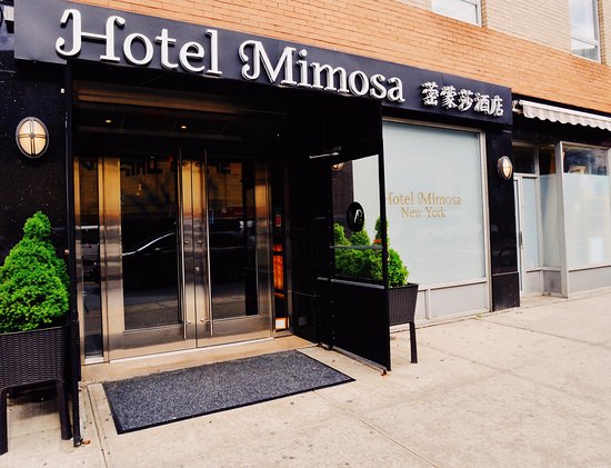 hotel mimosa nyc