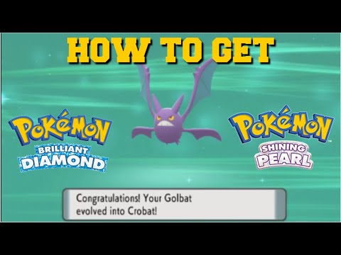 how do you evolve golbat