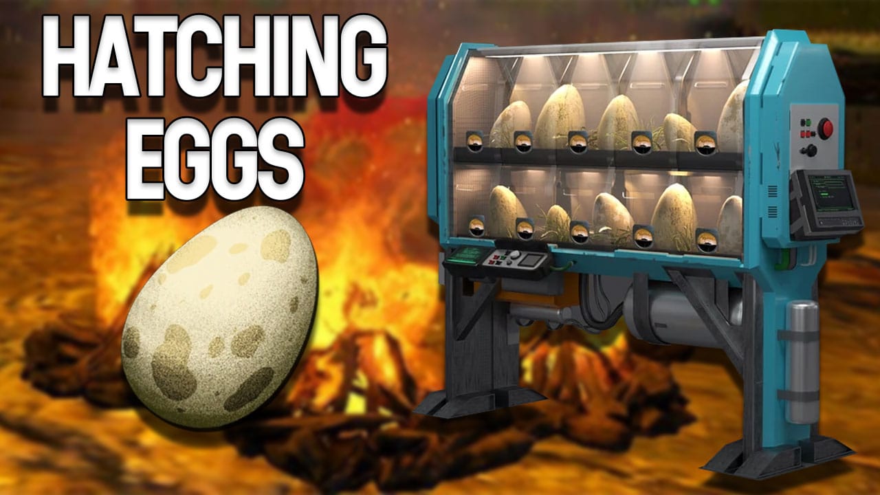 how do you hatch an egg in ark