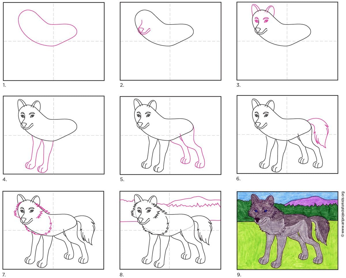 how to draw a wolf simple