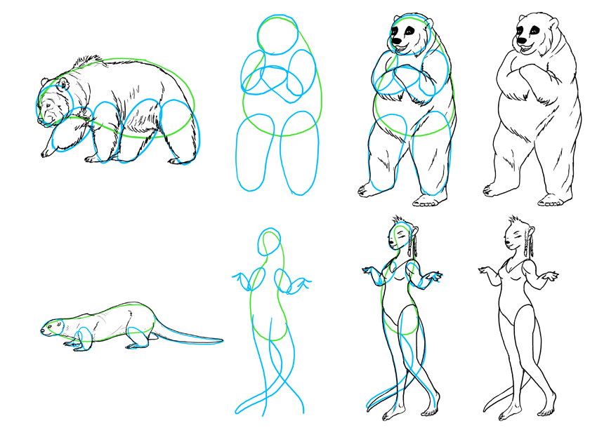 how to draw anthro