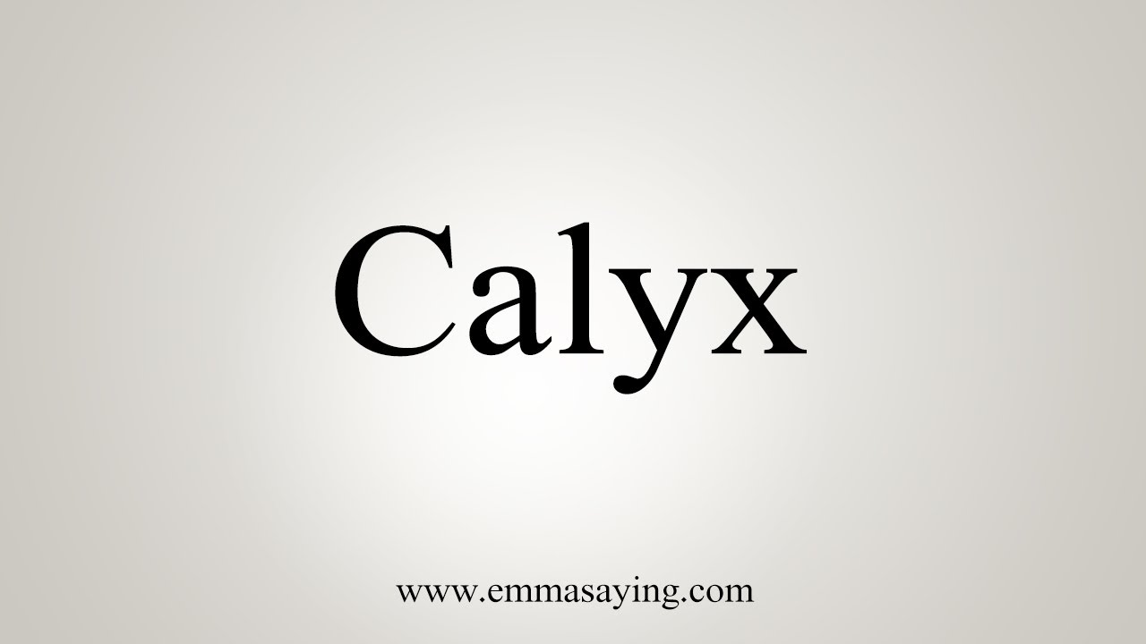 how to pronounce calyx