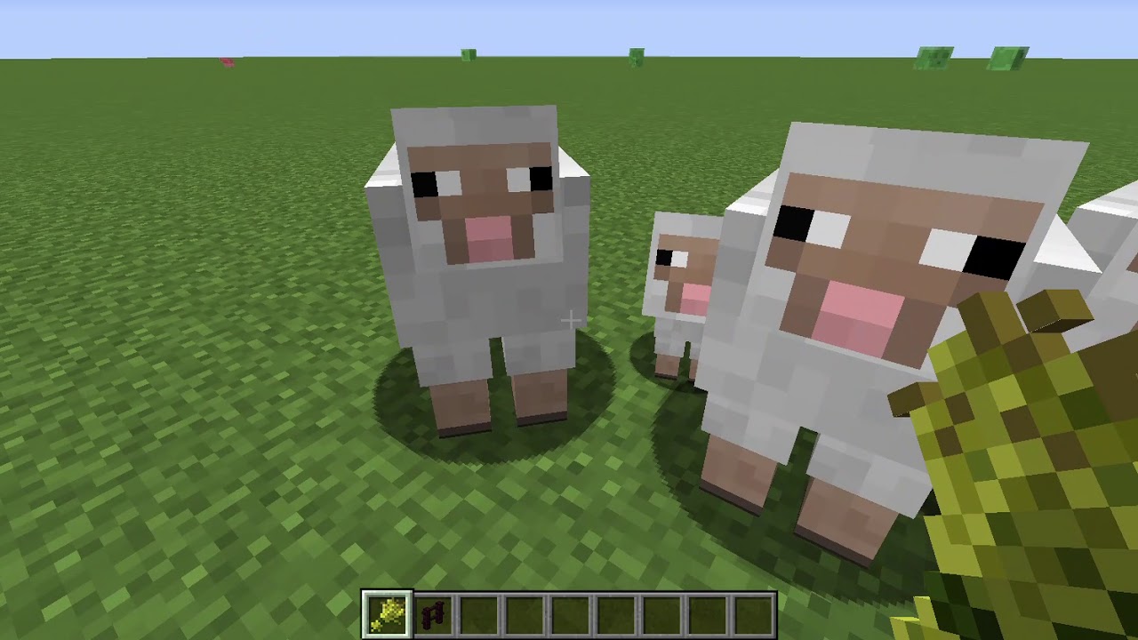 how to tame sheep in minecraft