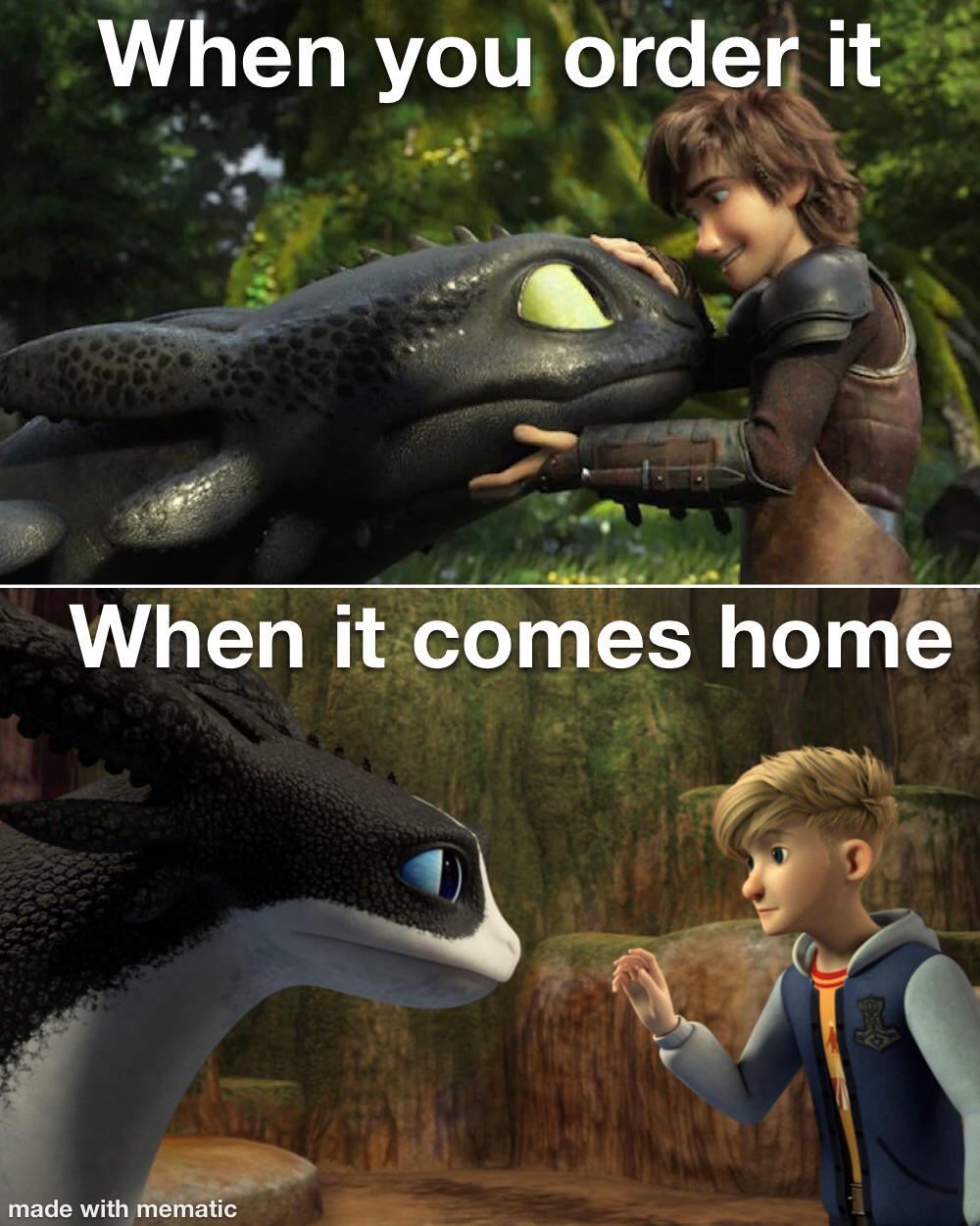 how to train your dragon memes
