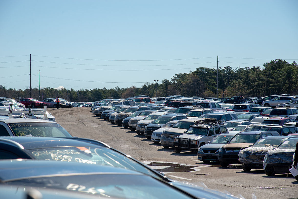 iaai auto auction phoenix