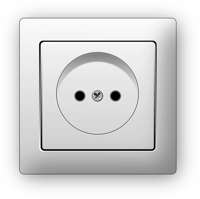 iceland electric plug type