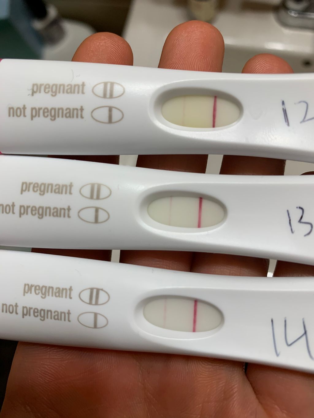 if implantation occurs 12dpo when to test